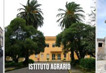 La dirigente dei cento premi: Russo nominata reggente dell’IIS Einaudi-Alvaro di Palmi