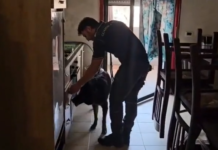 Gioia Tauro, maxi operazione ad “Alto Impatto” nella Ciambra: 275 persone identificate e 24 perquisizioni