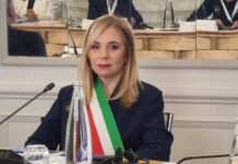 Il sindaco di Gioia Tauro, Simona Scarcella, chiede l’intervento delle istituzioni dopo due gravi intimidazioni rivolte alla sua famiglia.