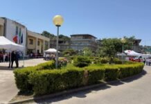 Rosarno, nasce la Polisportiva scolastica dell’I.C. “Scopelliti‑Green”: sport e inclusione al centro del nuovo progetto