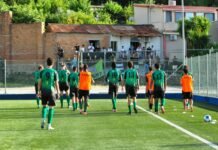Palmese–Paolana 2-2: solo 99 spettatori al Lopresti, il patron Sergi valuta porte chiuse o trasferimento