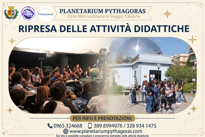 attività attività