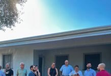 Xylella, sopralluogo del PD Taurianova in contrada Olivitella: “Serve rapidità e unità per tutelare il patrimonio olivicolo”