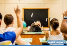 Lamezia Terme, sventato l’attacco a scuola: decisiva la segnalazione dei compagni images