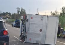 Traffico rallentato sulla A2 nei pressi dello svincolo di Rosarno: camion ribaltato whatsapp image 2026 09 18 at 17.10.17