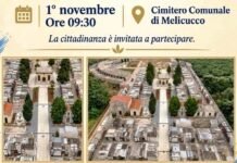 Melicucco, il 1° novembre l’inaugurazione del dipinto murale sacro “La Corte Celeste”dell’artista Antonella Minasi 870769251 1635370951420906 9219904694283224101 n
