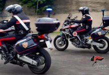 Siderno, arma clandestina, droga e fauna protetta: i Carabinieri arrestano una donna foto