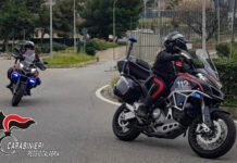 Coltivava marijuana in casa: arrestato giovane del reggino, sequestrate tre serre e oltre 600 grammi di stupefacente foto(160)