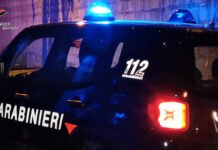Controlli rafforzati nella Piana di Gioia Tauro: sicurezza per i cacciatori e presidio del territorio foto(163)