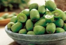 Produttori di kiwi: “Servono soluzioni rapide, il rischio è compromettere un’intera stagione produttiva” images