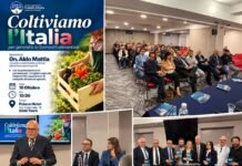 A Gioia Tauro il confronto tra politica e associazioni agricole img 20261018 wa0086