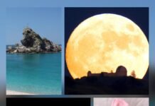 Amare è vivere: il sentimento che dà senso alla nostra esistenza img 20261028 wa0075(1)