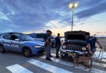 Fiutata dal cane antidroga Pablo: sequestrato oltre un chilo di cocaina, un arresto a Villa San Giovanni immagine di repertorio arresto per droga villa sg