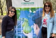 Amato di Taurianova, una lezione tra gli ulivi per custodire la tradizione agricola calabrese prima