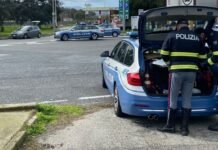 Paura sull’A2, bisarca procede a zigzag: conducente denunciato per guida in stato di ebbrezza stradale reggio
